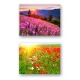 Natural Curiosities Note Cards Set of 10