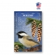 US State Birds and Flowers Set of 50