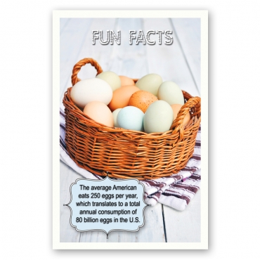 Fun Facts - PostcardFair