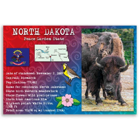 North Dakota state facts